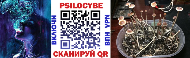 Галлюциногенные грибы Cubensis  Олёкминск 